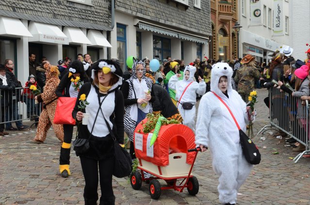 umzug simmern_140301_vb_237